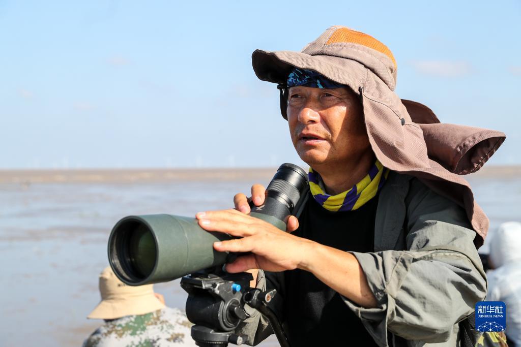 鳄鱼捕鱼大师